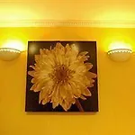 Hotel Viator *